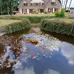 Le Toit D'eco Pins