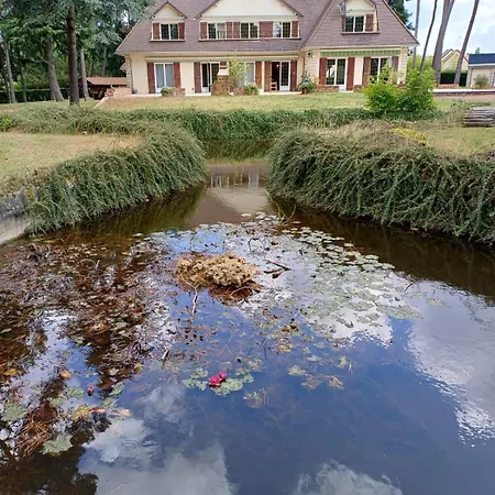Le Toit D'eco Pins